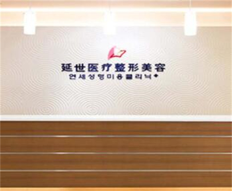 北京延世医疗美容