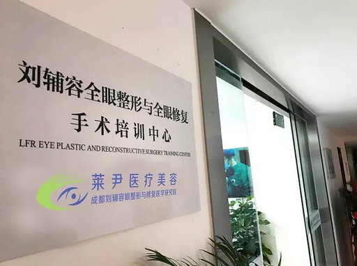 成都莱尹医疗美容整形诊所（成都刘辅容眼整形与修复医学研究院）