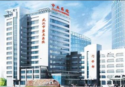 武汉第五医院