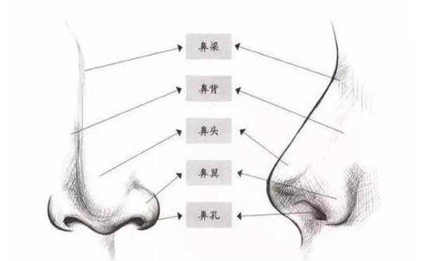箭鼻矫正前要了解哪些内容呢？手术有哪些注意事项呢？