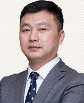 龙维