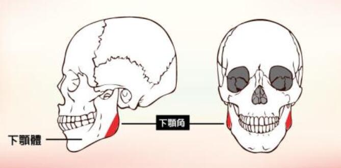 美联臣的v脸介绍：
