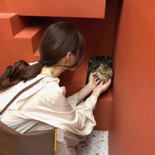 邢一迪
