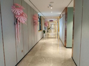 保定蓝山医疗美容医院做自体脂肪丰胸怎么样？