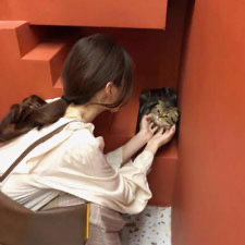 汤茗涵