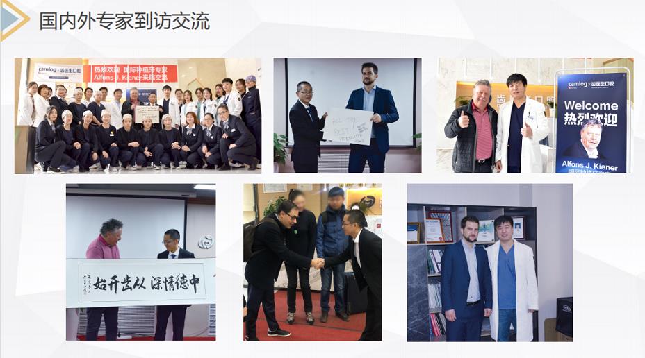 国内外专家到访交流