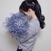 吉芯砚