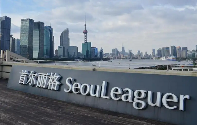 上海首尔立格医疗美容医院.png