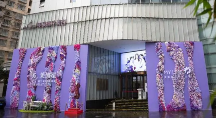 上海美莱医疗美容医院.png