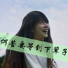 罗菲