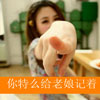 韦施遥
