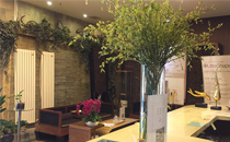 北京泰美丽格4.jpg
