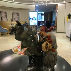 成都华人医联丽元医疗美容门诊部_大厅