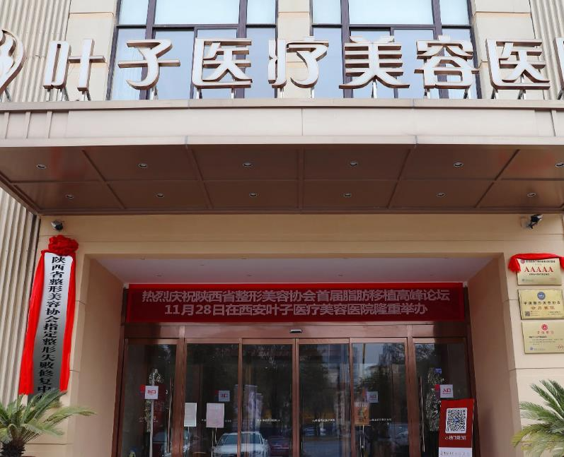 西安叶子医疗美容医院_医院大门